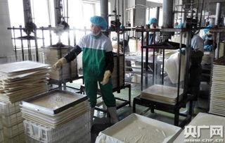 天人和 寧夏食品企業榮膺中國豆制品樣板工廠，引領健康飲食新風尚